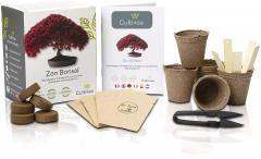 Kit pentru plante - 5 tipuri de bonsai