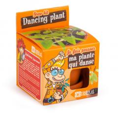 Kit de plantare cu ghiveci - Planta dansatoare