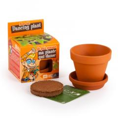 Kit de plantare cu ghiveci - Planta dansatoare