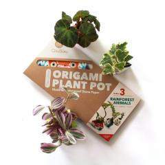 Set ghivece - Origami Plant Pot: Rainforest Animals