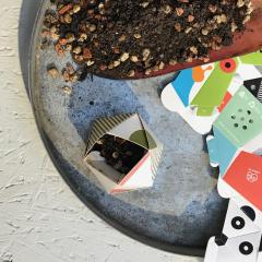 Set ghivece - Origami Plant Pot: Rainforest Animals