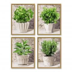 Kit pictura cu numere - Quattro - Ierburi Culinare, 36x48 cm
