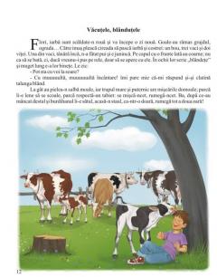 Intamplari dintr-o ograda si cu pace si cu sfada