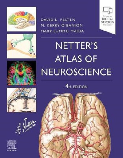 Netter&#039;s Atlas of Neuroscience