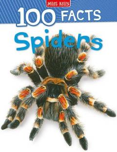 Coperta cărții 100 Facts Spiders