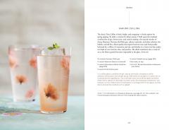 The Way of the Cocktail