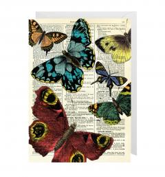 Felicitare - Selection of Butterflies