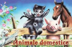 Animale domestice