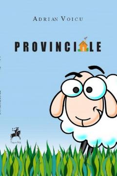 Provinciale 