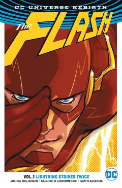 The Flash - Volume 1