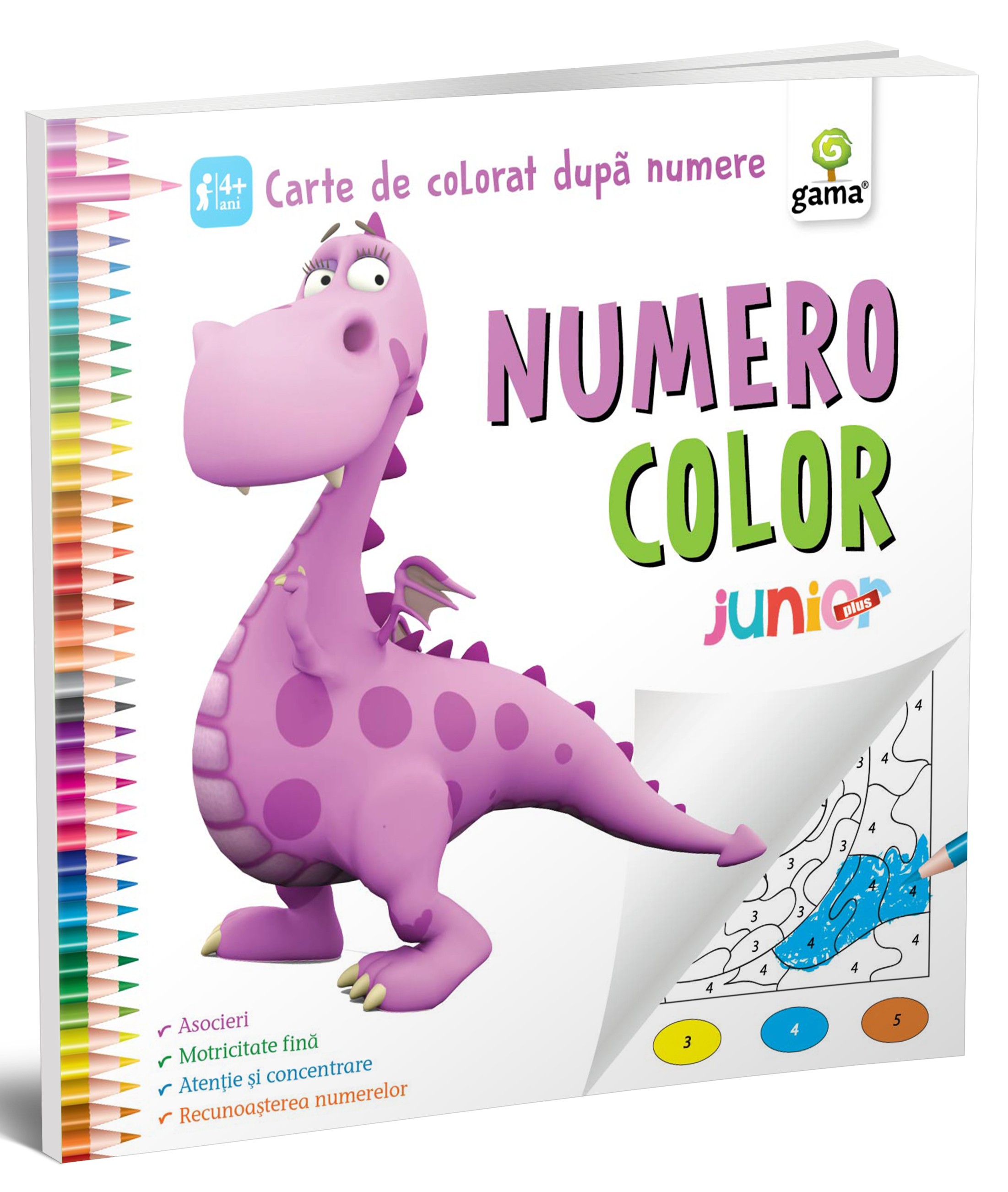 NumeroColor - Junior