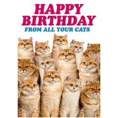 Felicitare - Happy Birthday From All Your Cats