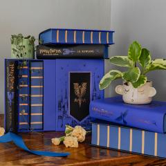 Box Set - Harry Potter - Ravenclaw House