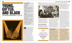 The Black History Book