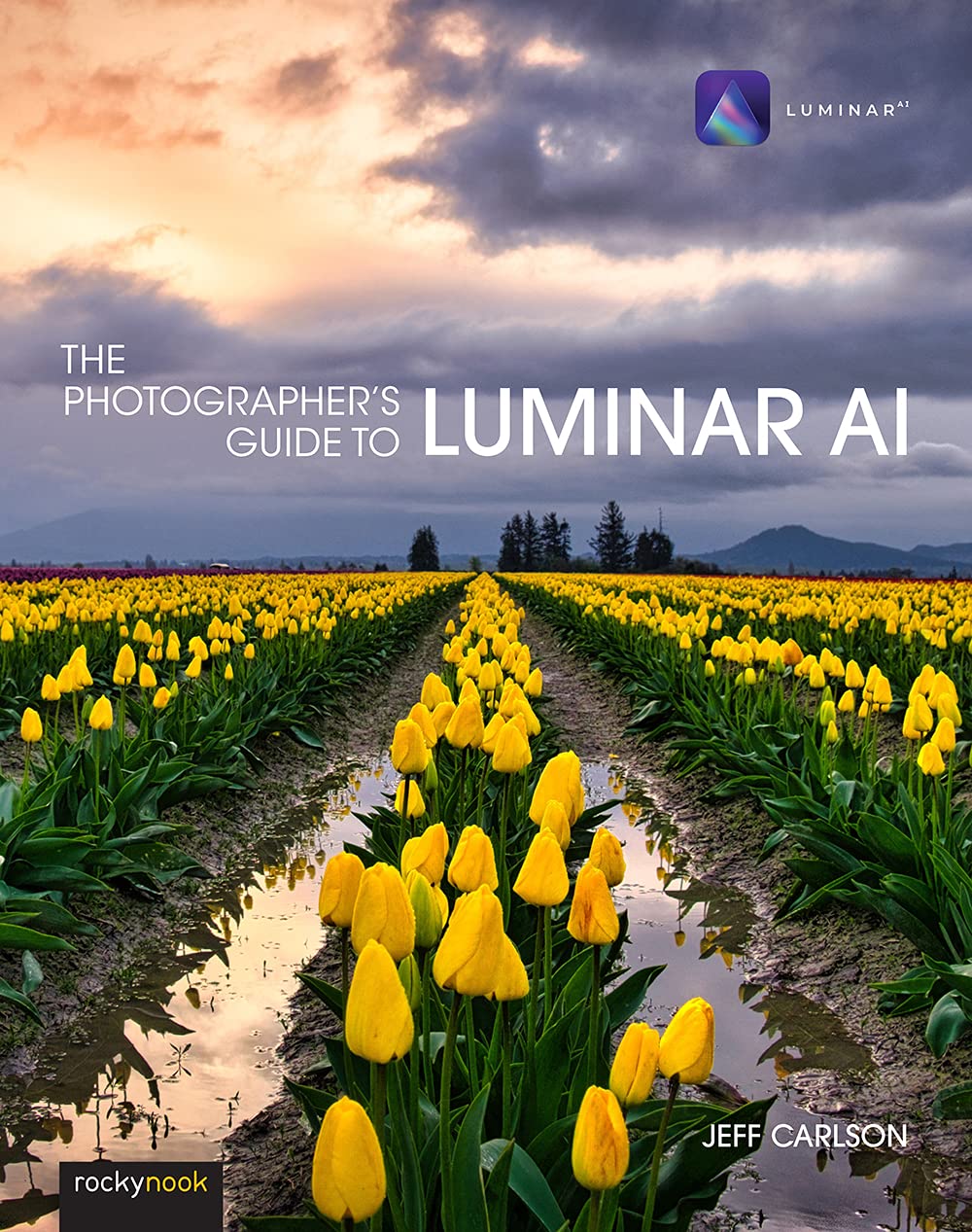 The Photographer&#039;s Guide to Luminar AI