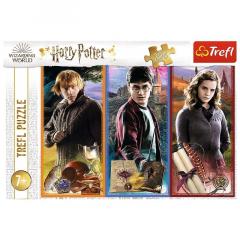 Puzzle - In Lumea Magiei Harry Potter