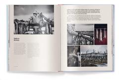 6 Months in the Fridge