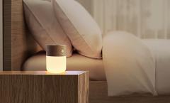 Lampa cu dispersor de odorizant - Smart Diffuser Lamp - Walnut