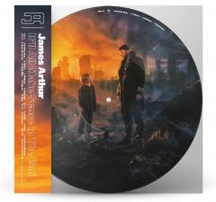 It'll All Make Sense In The End (Picture Vinyl)