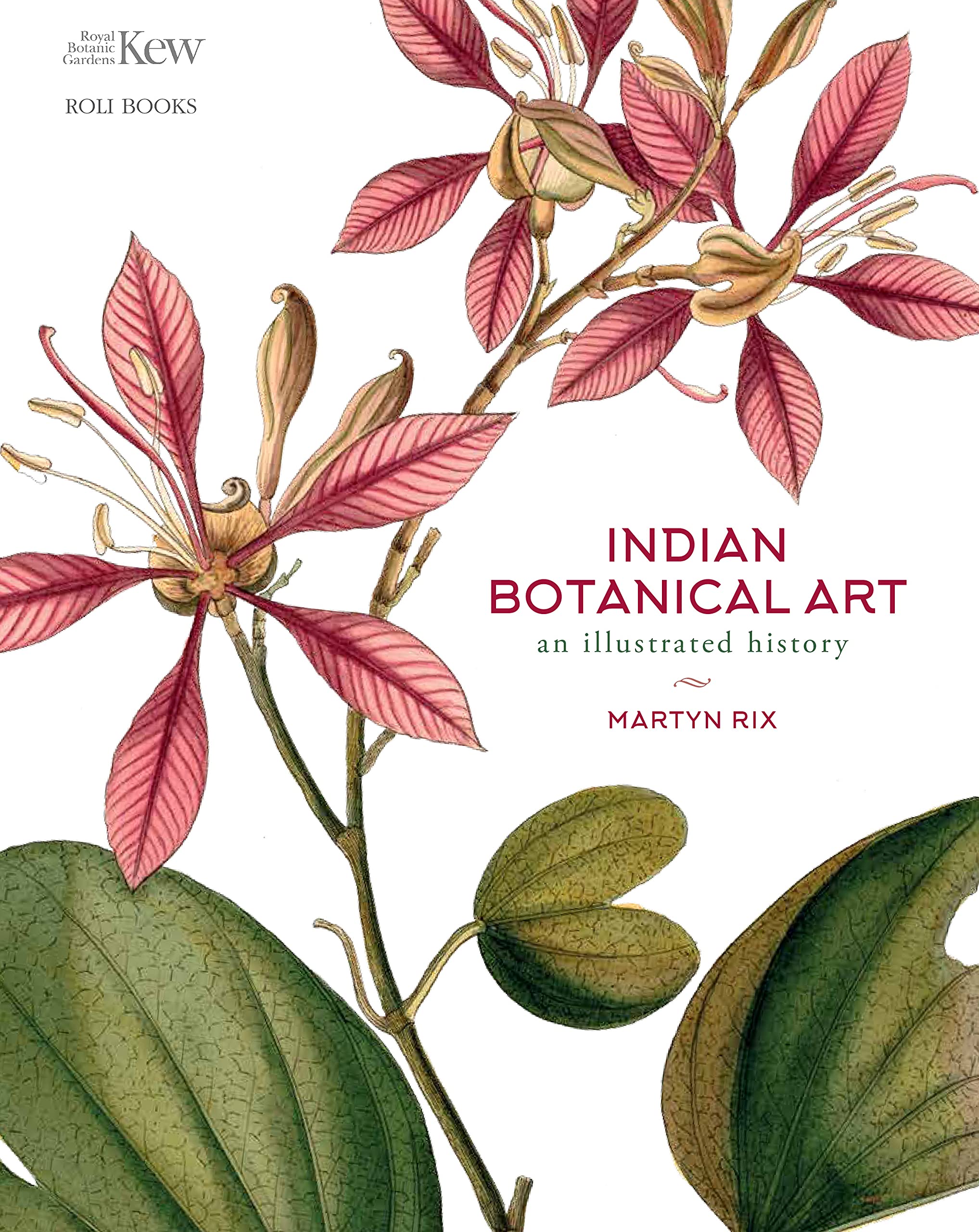Indian Botanical Art Martyn Rix