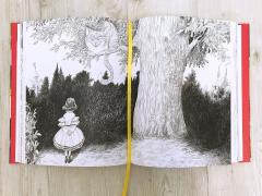 Alice's Adventures In Wonderland