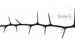 Biomimetics for Designers