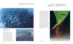 Biomimetics for Designers