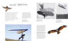 Biomimetics for Designers