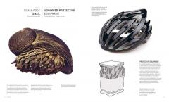 Biomimetics for Designers