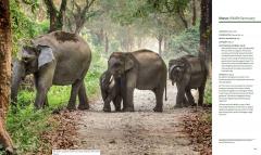 India: UNESCO World Heritage Sites