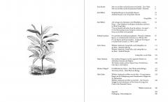 Lehmbruck―Kolbe―Mies van der Rohe