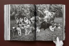 The Golden Retriever Photographic Society