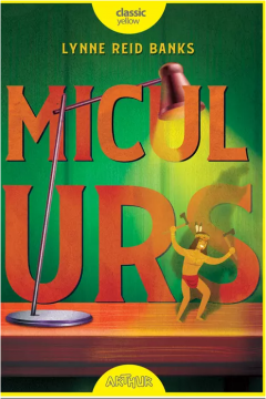 Micul Urs