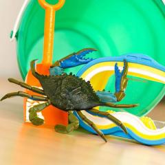 Figurina - Blue Crab