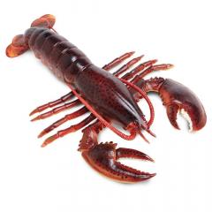 Figurina - Maine Lobster