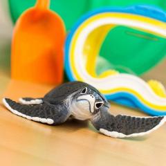 Figurina - Sea Turtle Baby