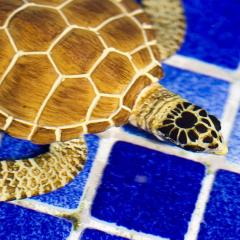 Figurina - Loggerhead Turtle