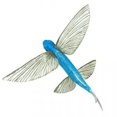 Figurina - Flying Fish