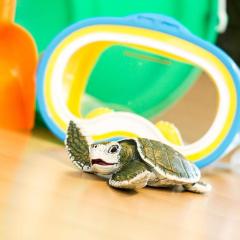 Figurina - Kemp's Ridley Sea Turtle Baby