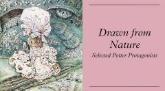 Beatrix Potter