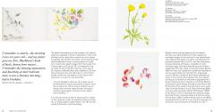 Beatrix Potter