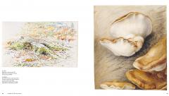 Beatrix Potter