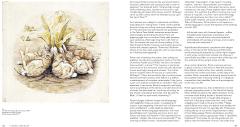 Beatrix Potter