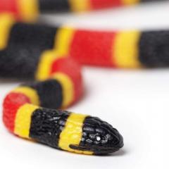 Figurina - Coral Snake Baby