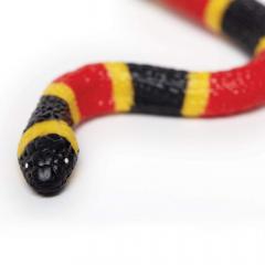 Figurina - Coral Snake Baby