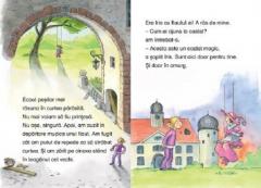 Povestile castelului magic