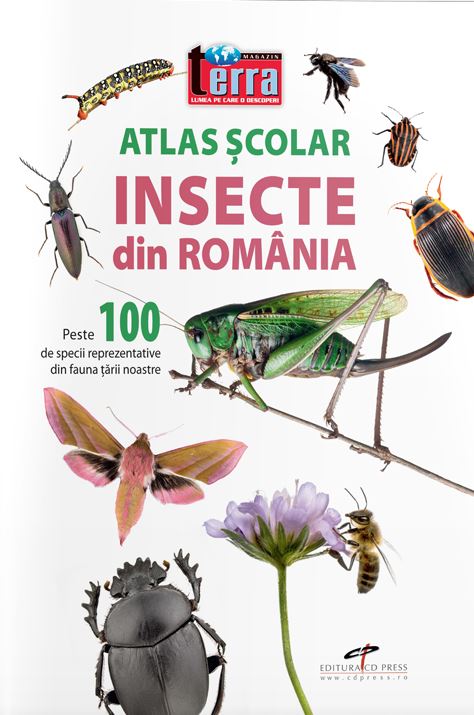 Atlas scolar - insecte din Romania