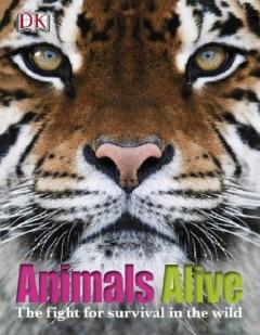 Animals Alive