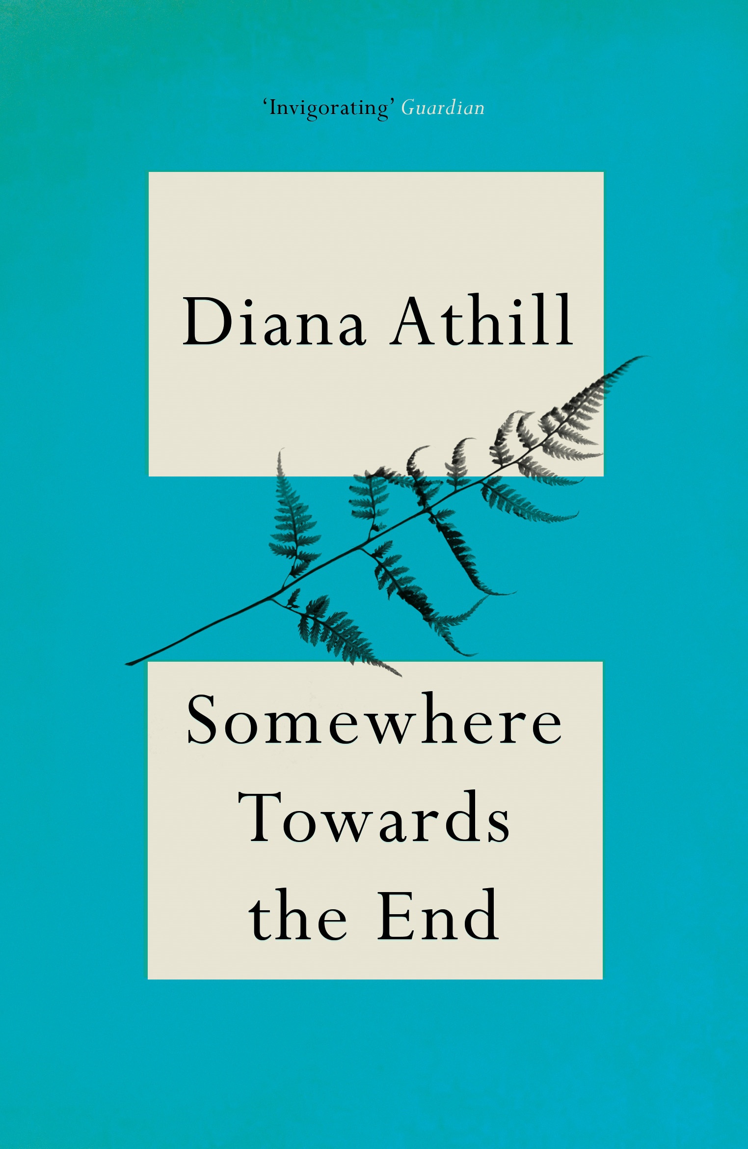 somewhere-towards-the-end-diana-athill