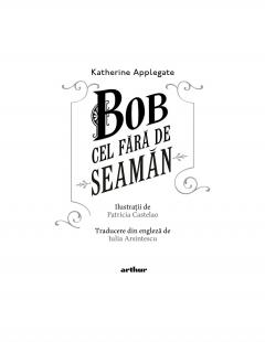 Bob cel Fara de Seaman